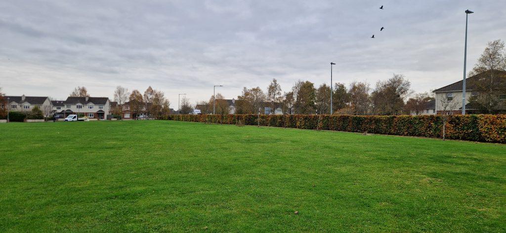 Cluainn aoibhinn hedge