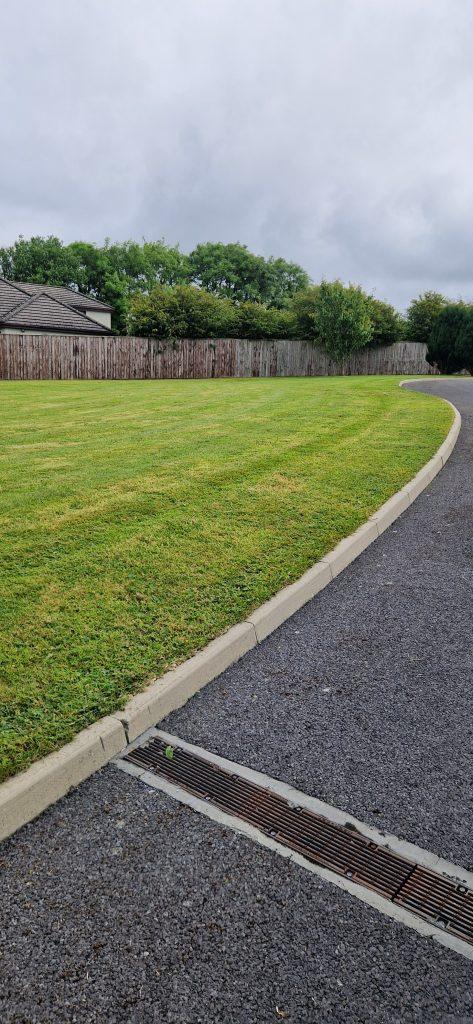 Grass