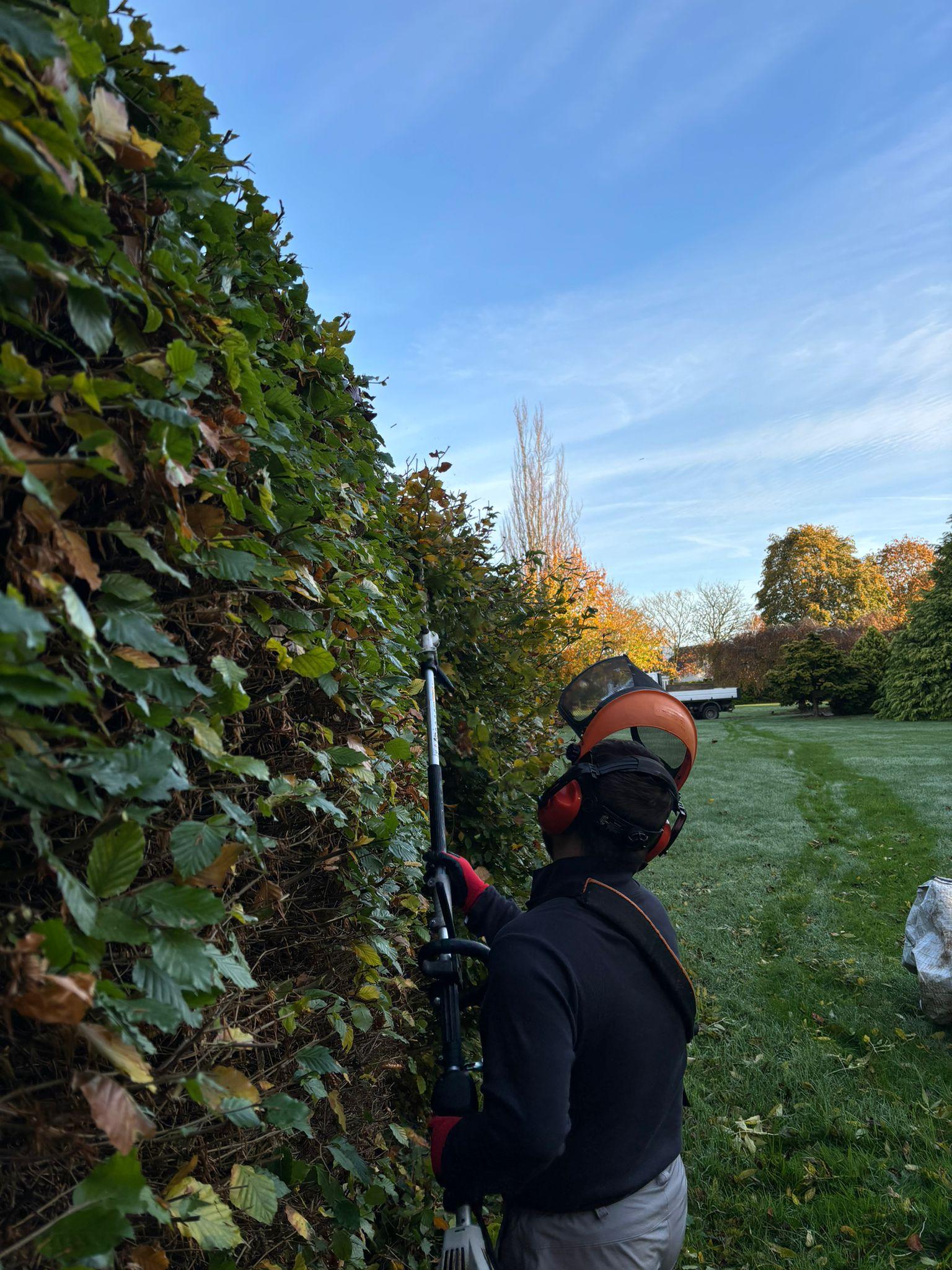 Handheld hedge cutting 3