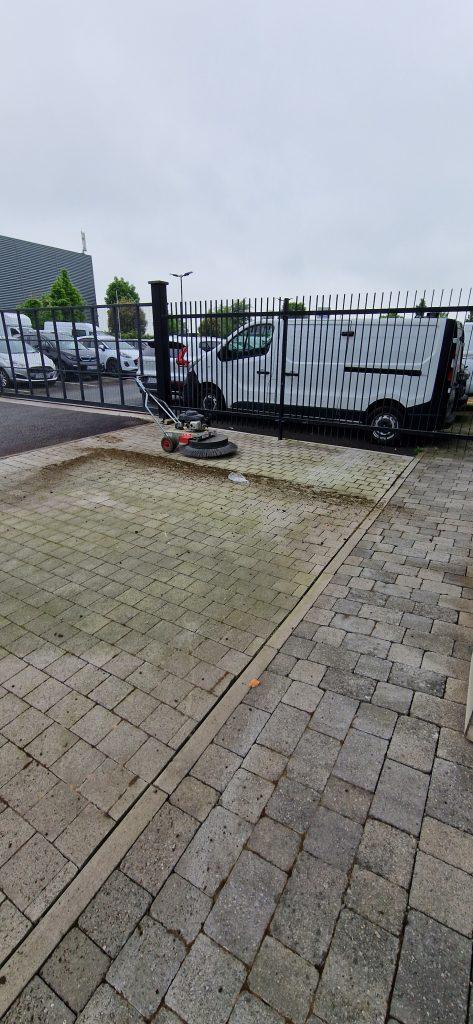 Moss removal 6