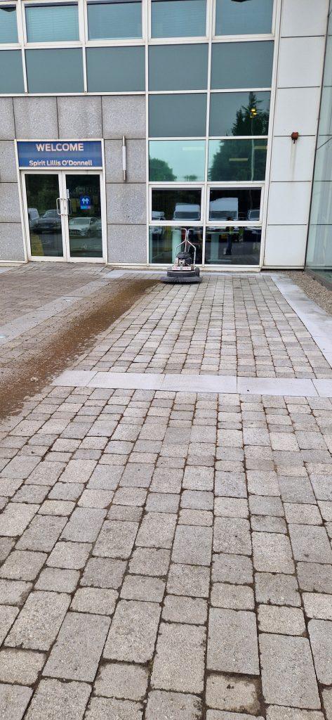 Moss removal 2
