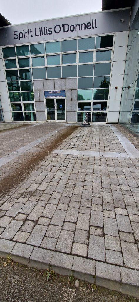 Moss removal 3