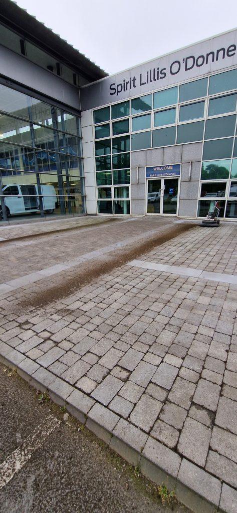Moss removal 5