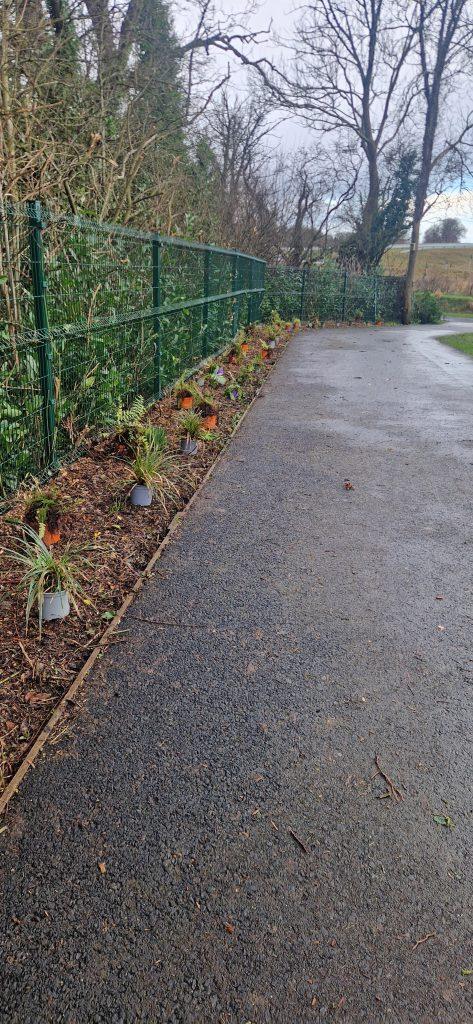 Oldbridge cleanup 1