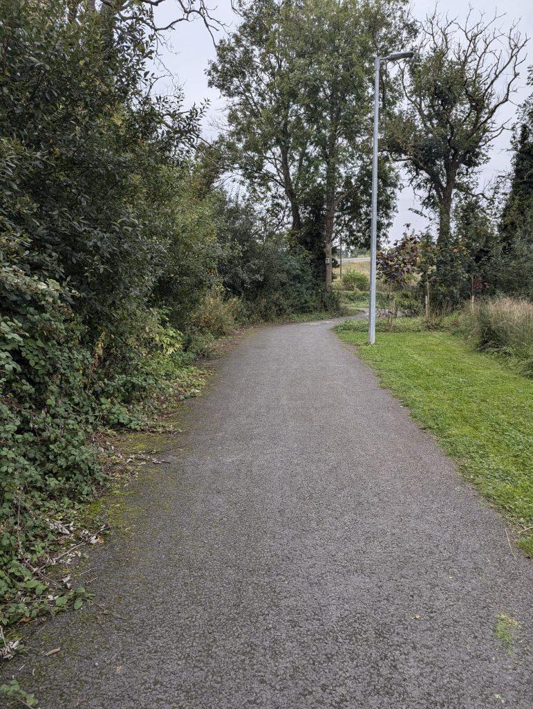 Oldbridge cleanup 3